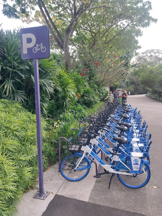 Photo of noleggio bici 1h: Confronta il prezzo di noleggio bici 1h in diversi paesi e vedi quanto pesa sul salario medio locale