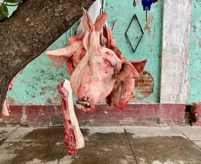 Photo of maiale 1kg: Confronta il prezzo di maiale 1kg in diversi paesi e vedi quanto pesa sul salario medio locale
