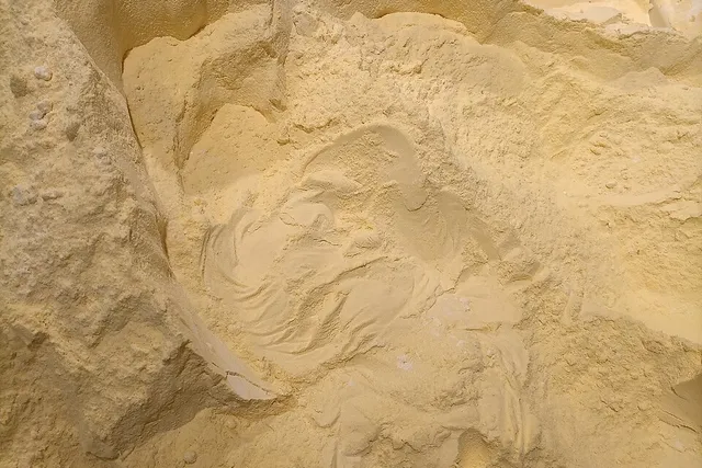 Photo of farina di mais 1kg: Confronta il prezzo di farina di mais 1kg in diversi paesi e vedi quanto pesa sul salario medio locale
