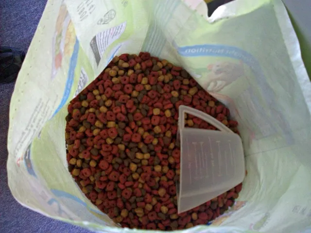 Photo of cibo per cane 1kg: Confronta il prezzo di cibo per cane 1kg in diversi paesi e vedi quanto pesa sul salario medio locale