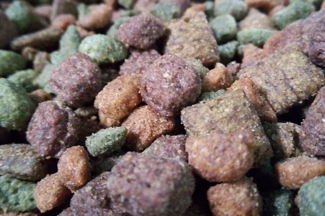Photo of cibo per gatto 1kg: Confronta il prezzo di cibo per gatto 1kg in diversi paesi e vedi quanto pesa sul salario medio locale